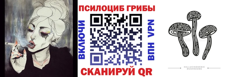 Псилоцибиновые грибы прущие грибы  Купить закладки  Кубинка 